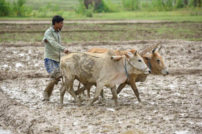 Natural Farming