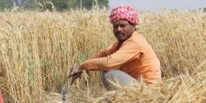 Karnataka Farmer