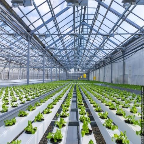 Smart Urban Farming
