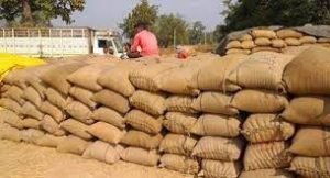 Paddy Procurement