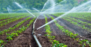 Sprinkler Irrigation in Agriculture