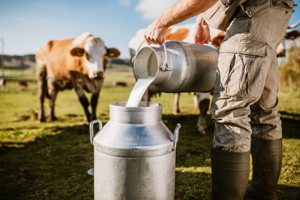 Cattle Farmers