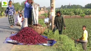 Madhya Pradesh Farmers