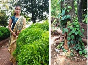 Farmer Woman Success Story