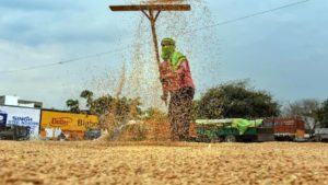 Farmer Protest