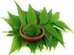 Neem 