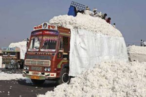 Cotton Transport