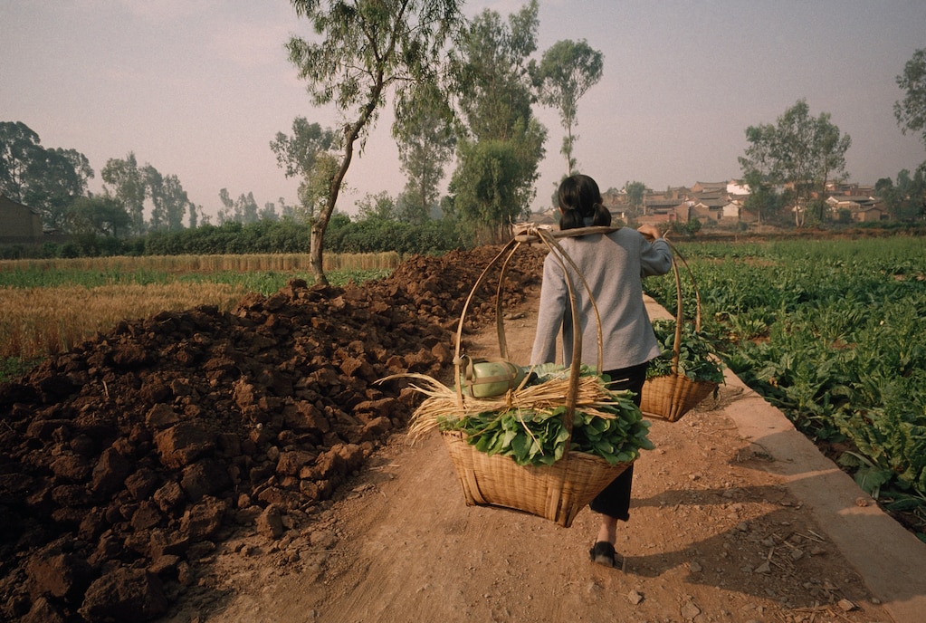 Farmers Produce Organization