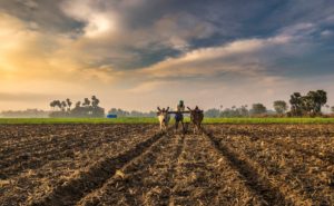 Natural Farming