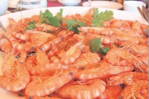 Shrimp prices