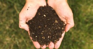 Soil Fertility