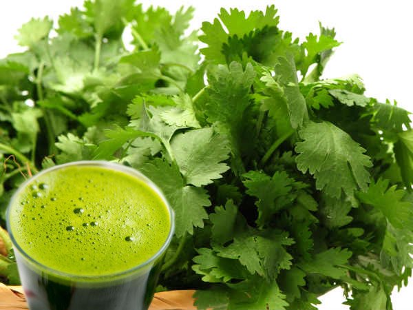 Coriander Benefits