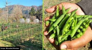 Natural Farming