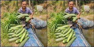 Farmer Success Story