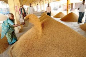 Wheat Procurement