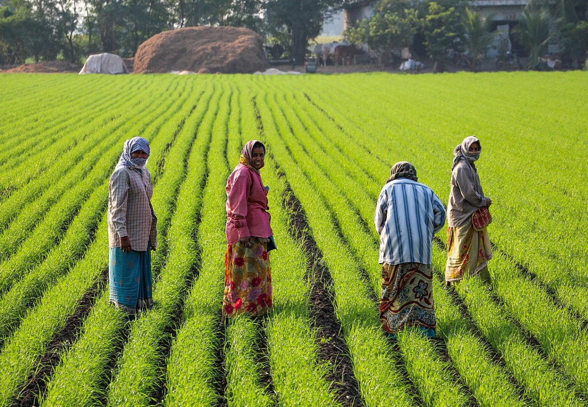 Natural Farming