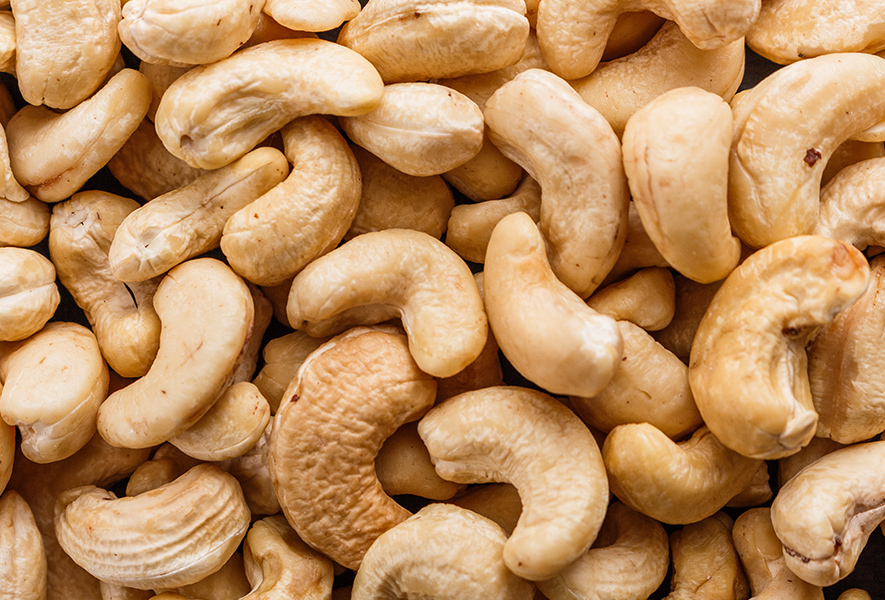 Cashew Nut Business