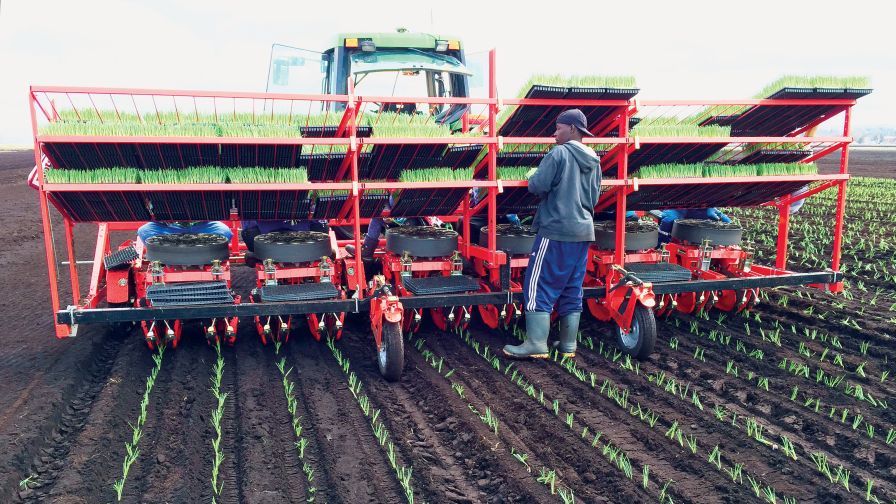 mechanical planter machine