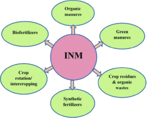  integrated nutrient management