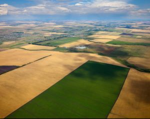 farming on lease