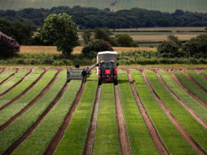 Organic Farming