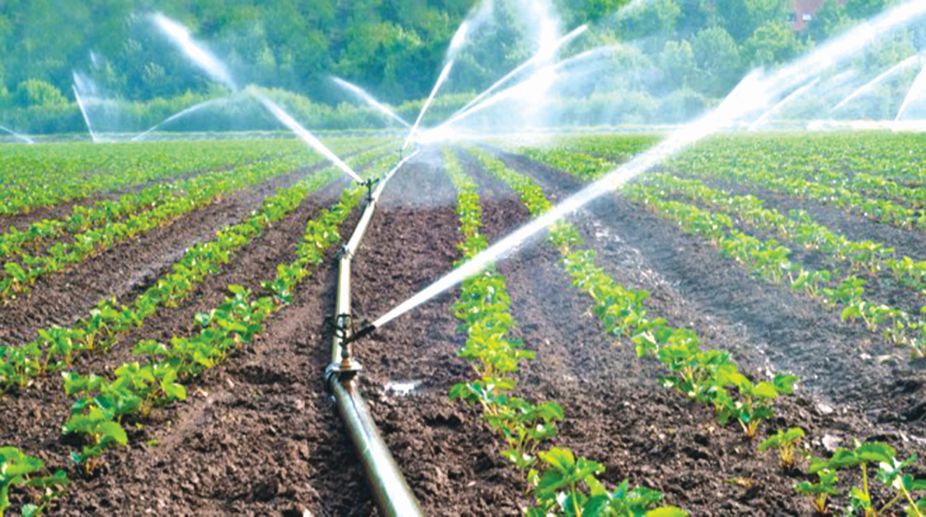 Micro Irrigation