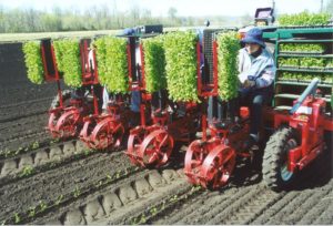 mechanical planter machine