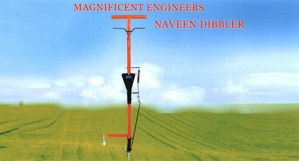 Naveen Dibbler