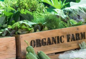 Organic Products