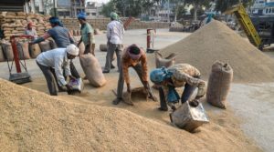 Agricultural Labours