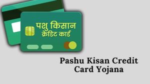 Pashu kisan Credit Card Yojana