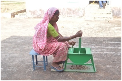 Groundnut Decorticator