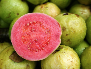 Guava 