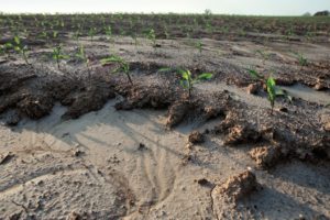 Soil Erosion Management