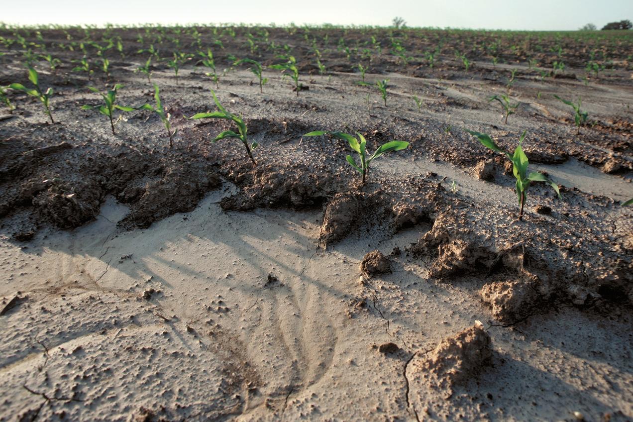 Soil Erosion Management