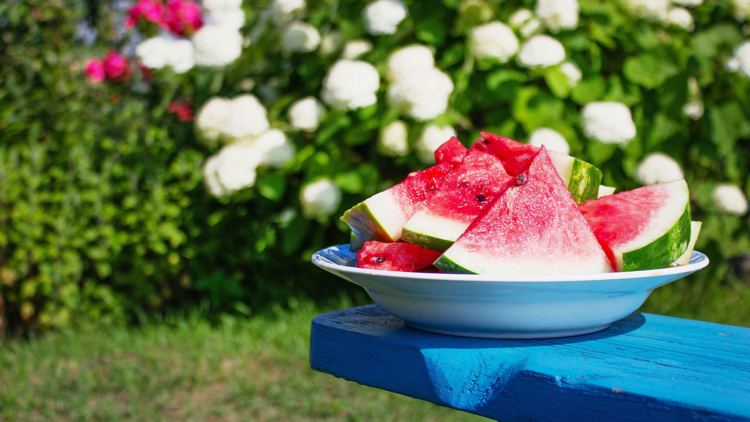 Watermelon plant protection in summer