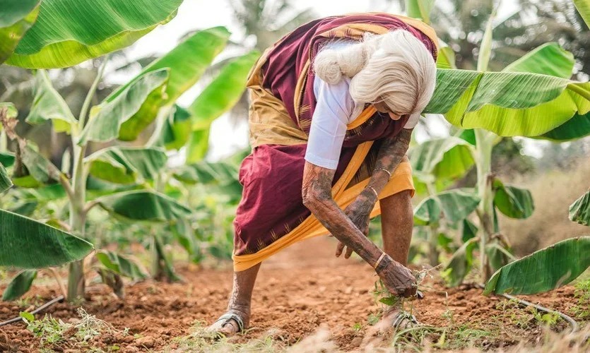 Organic Farmer Pappmmal