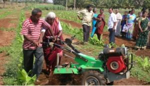 Organic Farmer Pappmmal