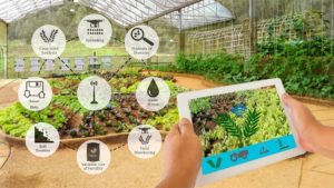 Sensors in Agriculture