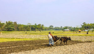 farming on lease