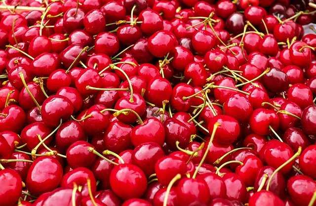 Shimla Cherry