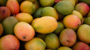 Contaminated Mangoes