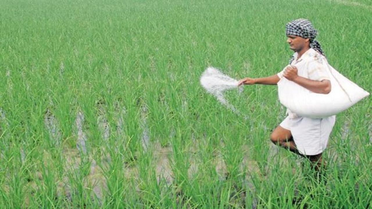 Fertilizer Subsidy Scheme