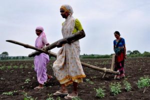 Women in Agriculture