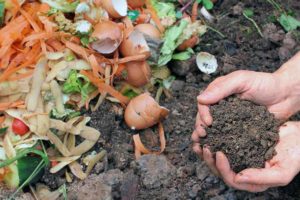 Earth worm Compost