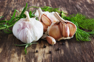 National Garlic Day