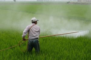 Pesticides Threat To Mankind