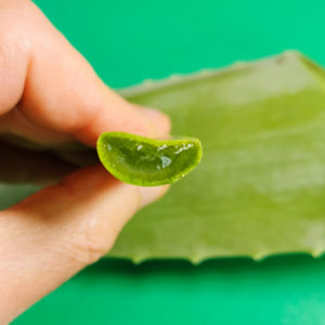 Aloe Vera