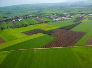 Israel Farming