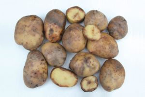 Potato App